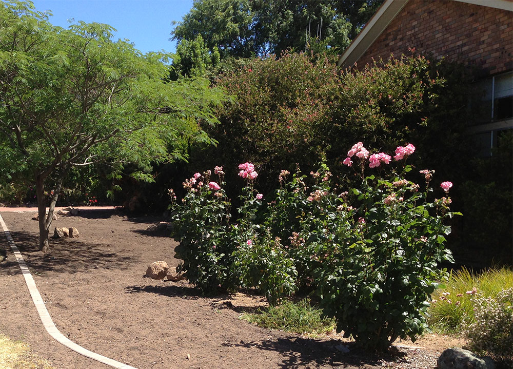residential landscaping in Canberra 